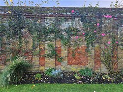 tourville-sur-arques (19)